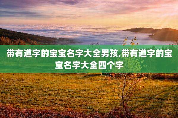 带有道字的宝宝名字大全男孩,带有道字的宝宝名字大全四个字