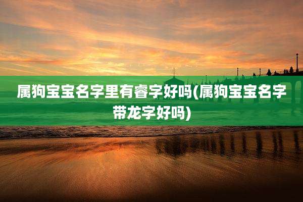 属狗宝宝名字里有睿字好吗(属狗宝宝名字带龙字好吗)