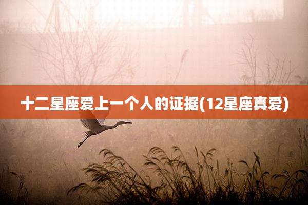 十二星座爱上一个人的证据(12星座真爱)
