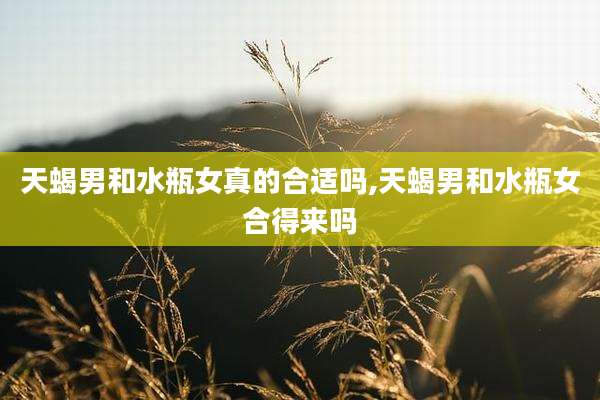 天蝎男和水瓶女真的合适吗,天蝎男和水瓶女合得来吗