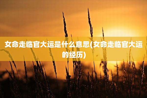 女命走临官大运是什么意思(女命走临官大运的经历)