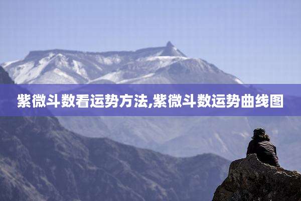 紫微斗数看运势方法,紫微斗数运势曲线图