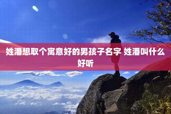 姓潘想取个寓意好的男孩子名字 姓潘叫什么好听