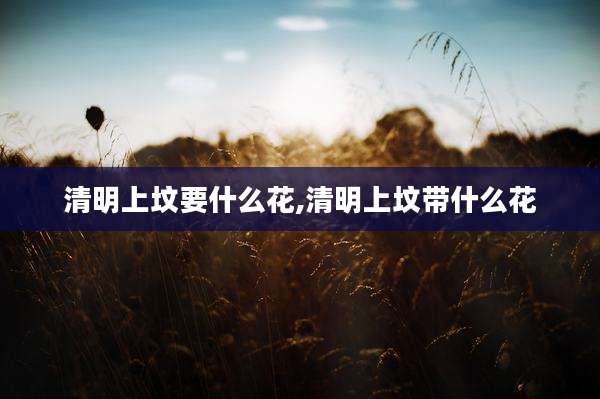 清明上坟要什么花,清明上坟带什么花