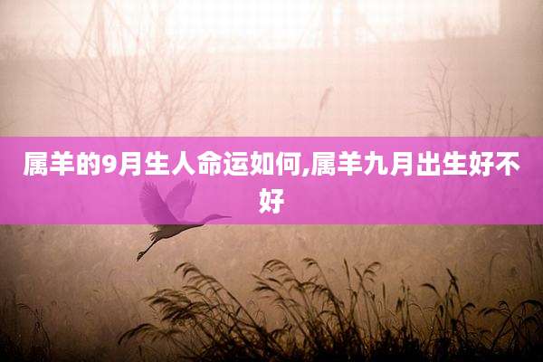 属羊的9月生人命运如何,属羊九月出生好不好