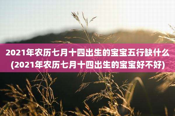 2021年农历七月十四出生的宝宝五行缺什么(2021年农历七月十四出生的宝宝好不好)