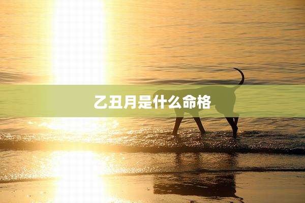 乙丑月是什么命格