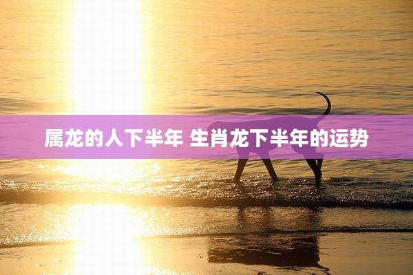 属龙的人下半年 生肖龙下半年的运势