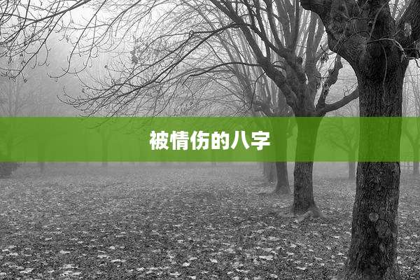 被情伤的八字