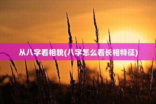 从八字看相貌(八字怎么看长相特征)