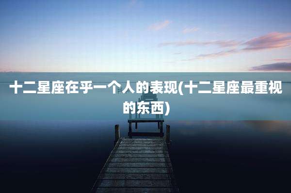 十二星座在乎一个人的表现(十二星座最重视的东西)