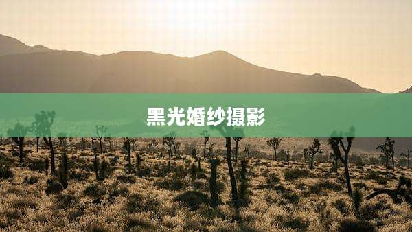 黑光婚纱摄影