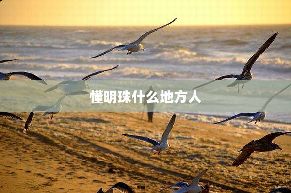 懂明珠什么地方人