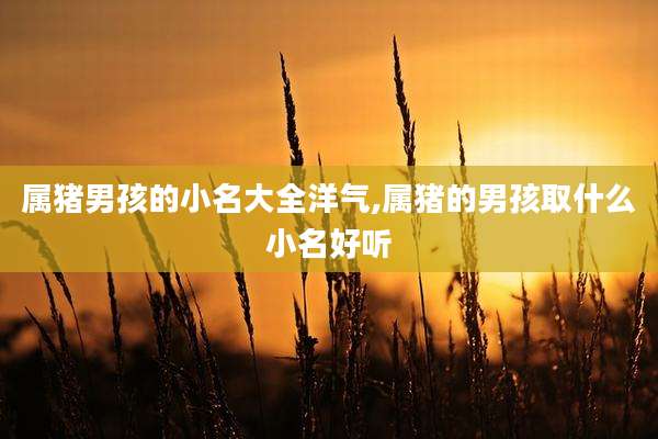 属猪男孩的小名大全洋气,属猪的男孩取什么小名好听