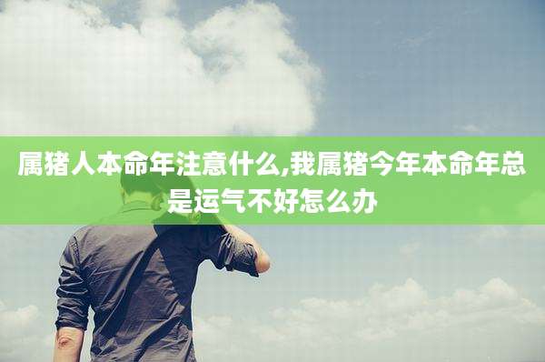 属猪人本命年注意什么,我属猪今年本命年总是运气不好怎么办