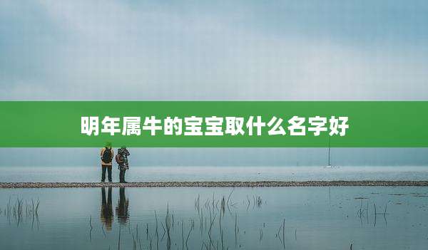 明年属牛的宝宝取什么名字好