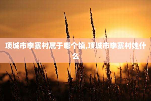 项城市李寨村属于哪个镇,项城市李寨村姓什么