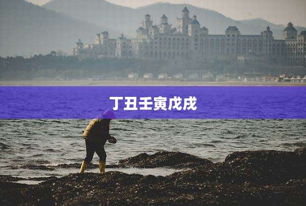 丁丑壬寅戊戌