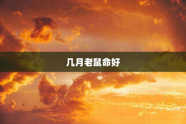 几月老鼠命好