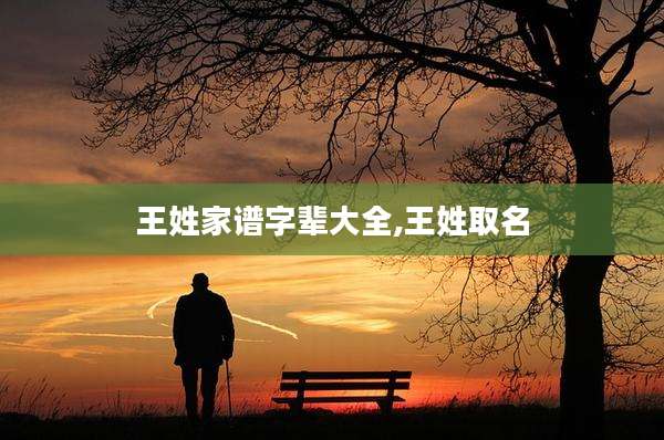 王姓家谱字辈大全,王姓取名
