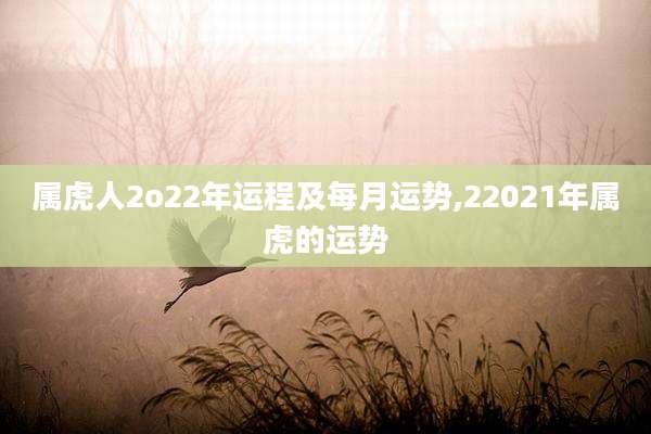 属虎人2o22年运程及每月运势,22021年属虎的运势