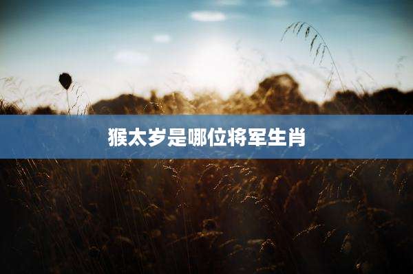 猴太岁是哪位将军生肖