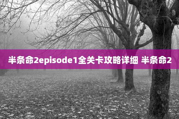 半条命2episode1全关卡攻略详细 半条命2