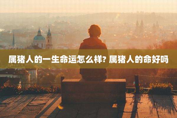 属猪人的一生命运怎么样? 属猪人的命好吗