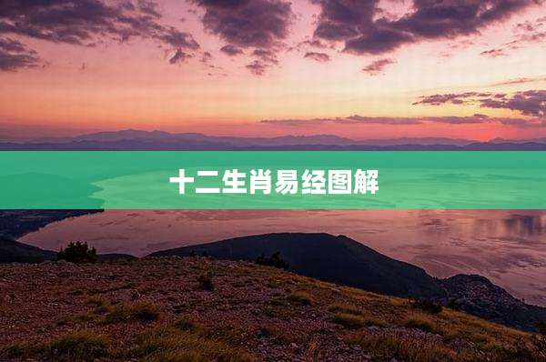 十二生肖易经图解