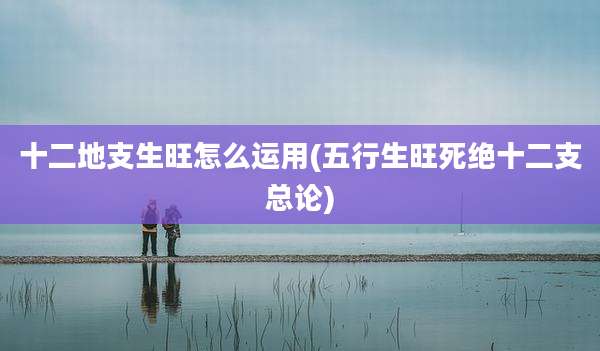 十二地支生旺怎么运用(五行生旺死绝十二支总论)