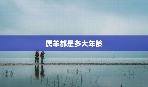 属羊都是多大年龄