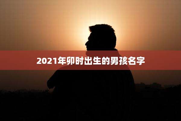 2021年卯时出生的男孩名字