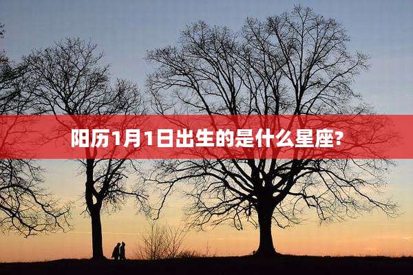 阳历1月1日出生的是什么星座?