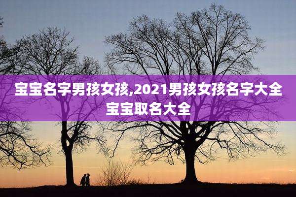 宝宝名字男孩女孩,2021男孩女孩名字大全宝宝取名大全