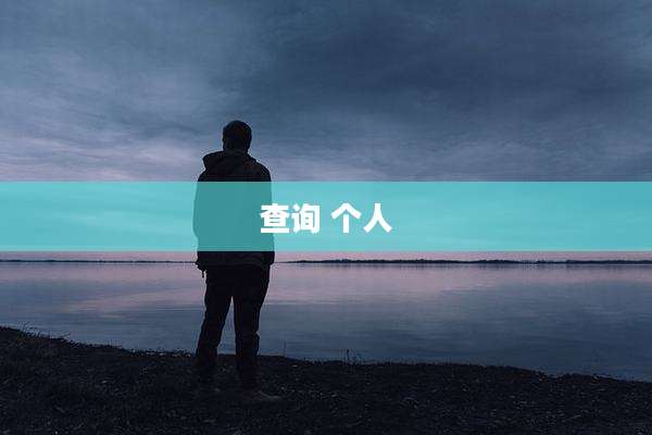 查询 个人