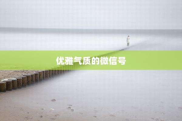 优雅气质的微信号