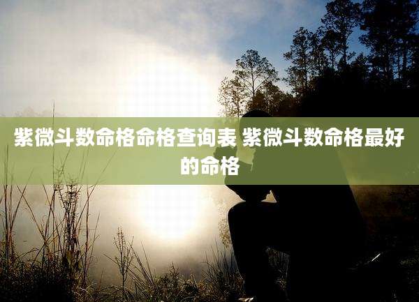 紫微斗数命格命格查询表 紫微斗数命格最好的命格
