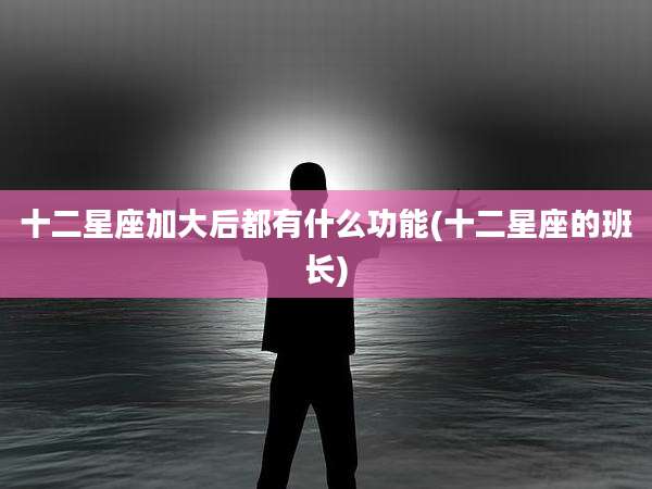 十二星座加大后都有什么功能(十二星座的班长)