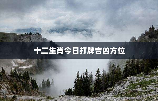 十二生肖今日打牌吉凶方位