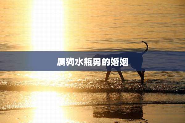 属狗水瓶男的婚姻