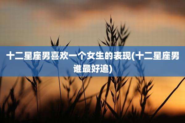 十二星座男喜欢一个女生的表现(十二星座男谁最好追)