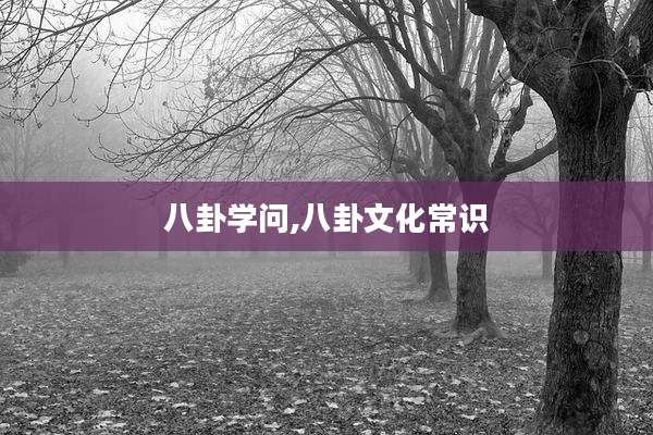 八卦学问,八卦文化常识