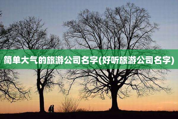 简单大气的旅游公司名字(好听旅游公司名字)