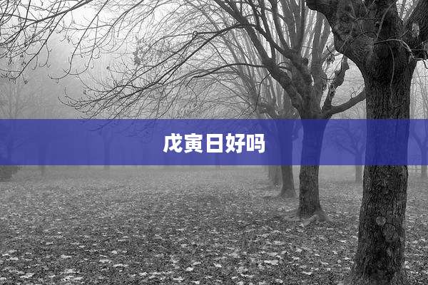 戊寅日好吗
