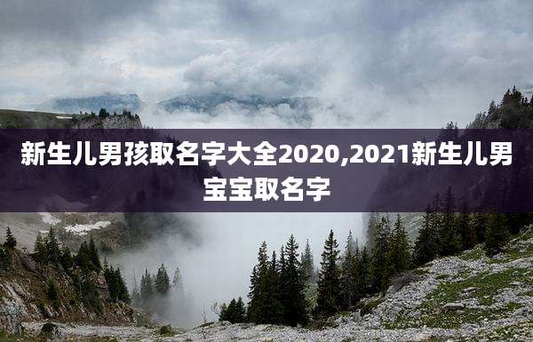 新生儿男孩取名字大全2020,2021新生儿男宝宝取名字