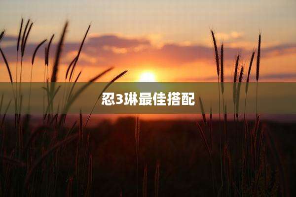 忍3琳最佳搭配