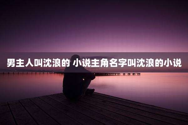 男主人叫沈浪的 小说主角名字叫沈浪的小说
