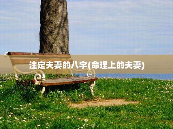 注定夫妻的八字(命理上的夫妻)