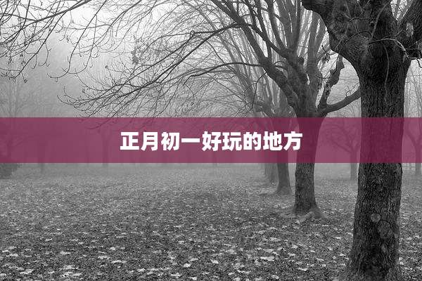 正月初一好玩的地方