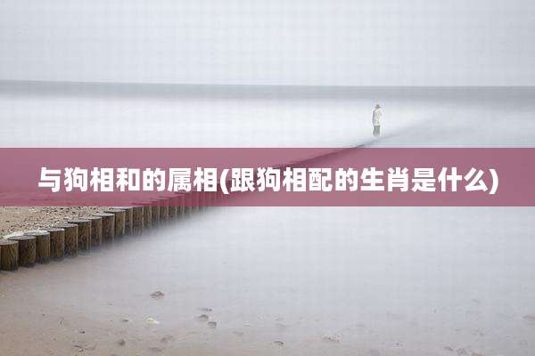 与狗相和的属相(跟狗相配的生肖是什么)